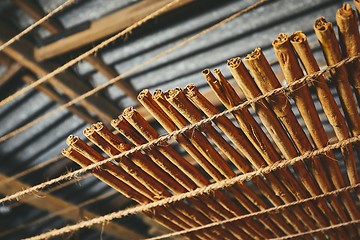 Image showing Drying of the cinnamon sticks