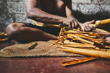 Image showing Production of the cinnamon sticks