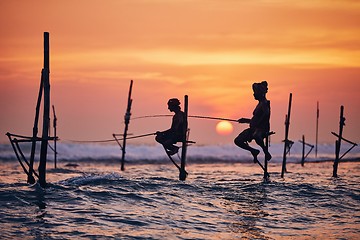 Image showing Traditional stilt fishing in Sri Lanka