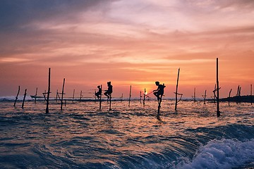 Image showing Traditional stilt fishing in Sri Lanka