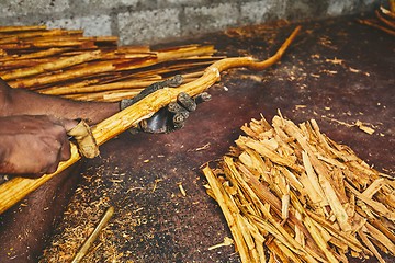 Image showing Production of the cinnamon sticks