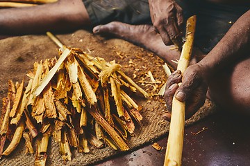 Image showing Production of the cinnamon sticks