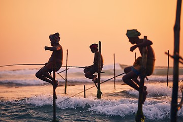 Image showing Traditional stilt fishing in Sri Lanka