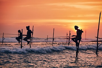 Image showing Traditional stilt fishing in Sri Lanka