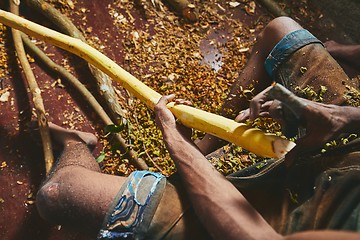 Image showing Production of the cinnamon sticks