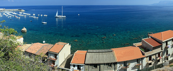 Image showing Scilla coast