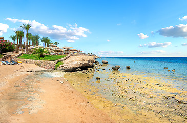 Image showing Coral reefs on beach