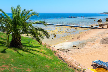 Image showing Red Sea beach