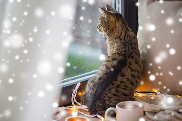 Image showing tabby cat looking through window at home over snow