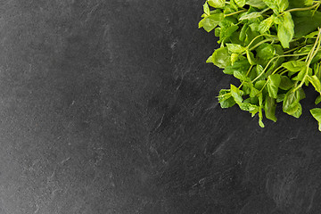 Image showing green mint leaves on stone background