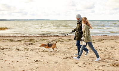 Image showing happy couple with beagle dog on autumn beach