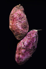 Image showing Sweet potato 