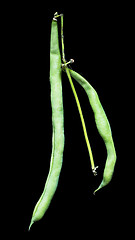 Image showing green beans 