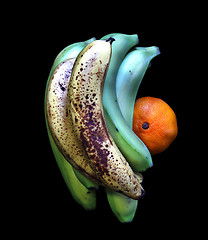 Image showing Bananas and Tangerine 