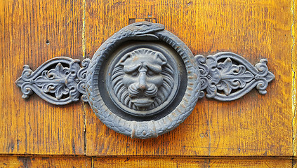 Image showing Vintage wooden texture with decorative lion head and snake ring 