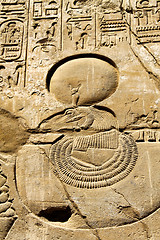 Image showing Ancient stone wall with Egyptian hieroglyphs, close-up texture