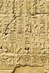 Image showing Ancient egyptian hieroglyphs carved on the stone in the Karnak T