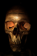 Image showing Scary scull