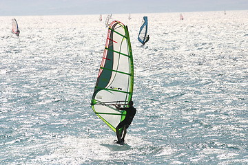 Image showing Many windsurfers at sea