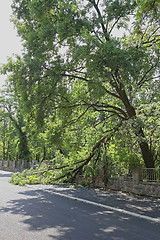 Image showing Storm Damage