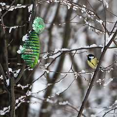 Image showing Great Tit by a bird feeder in winter season