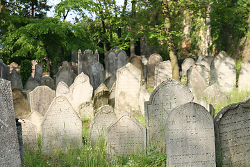 Image showing old jewish burial place