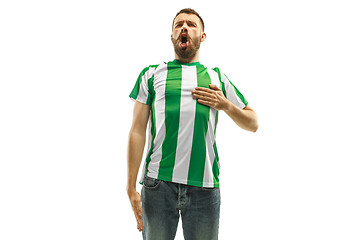 Image showing Irish fan celebrating on white background