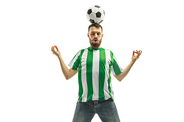 Image showing Irish fan celebrating on white background