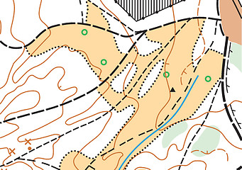 Image showing Abstract color vector topographic highly detailed map