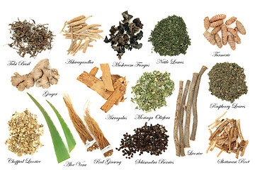 Image showing Adaptogen Herbs and Spices