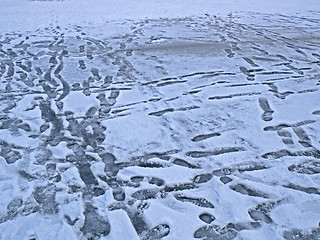 Image showing Frozen surface of lake with many prints