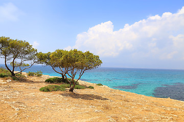 Image showing Beautiful view with turquoise sea of Majorca, Spain