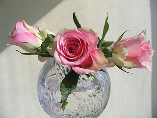 Image showing Beautiful tender roses in a crystal vase