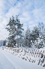 Image showing Snow-covered landscape in the countryside. Viitna, Estonia