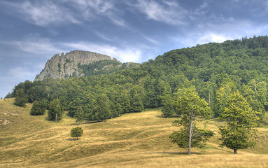 Image showing Rooster comb