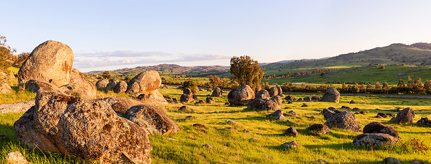 Image showing Wyangala rural landscape Panorama