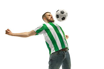 Image showing Irish fan celebrating on white background