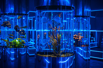 Image showing oceanarium interior photo