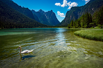 Image showing Lake Dobbiaco in the Dolomites, Italy