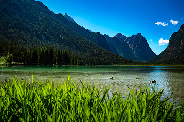 Image showing Lake Dobbiaco in the Dolomites, Italy