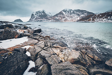 Image showing Rocky coast of fjord in Norway