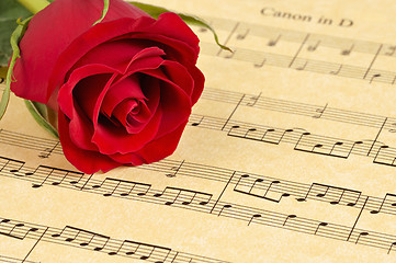 Image showing Red Rose on Sheet Music