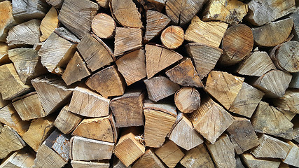 Image showing Firewood pile stacked chopped wood trunks