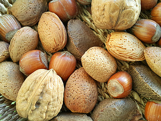 Image showing Mix of different types nuts