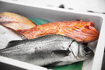 Image showing fresh fish or seafood at japanese street market