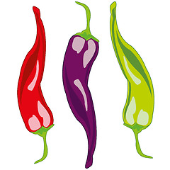 Image showing Sharp pepper chile on white background is insulated