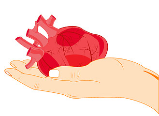 Image showing Internal organ of the person heart in palm of the person