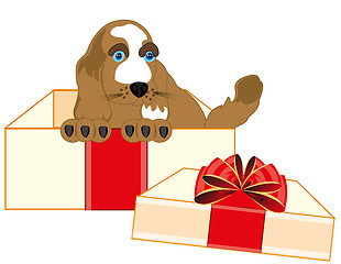 Image showing Small puppy of the dog in box gift
