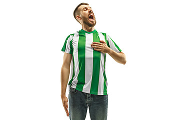 Image showing Irish fan celebrating on white background