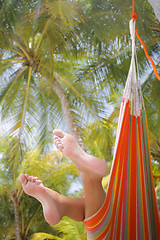 Image showing Woman in a Hammock